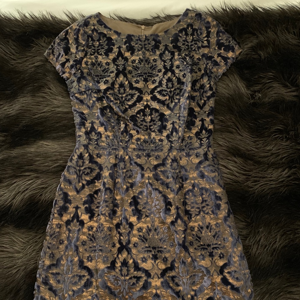 Velvet Lotusgrace Dress